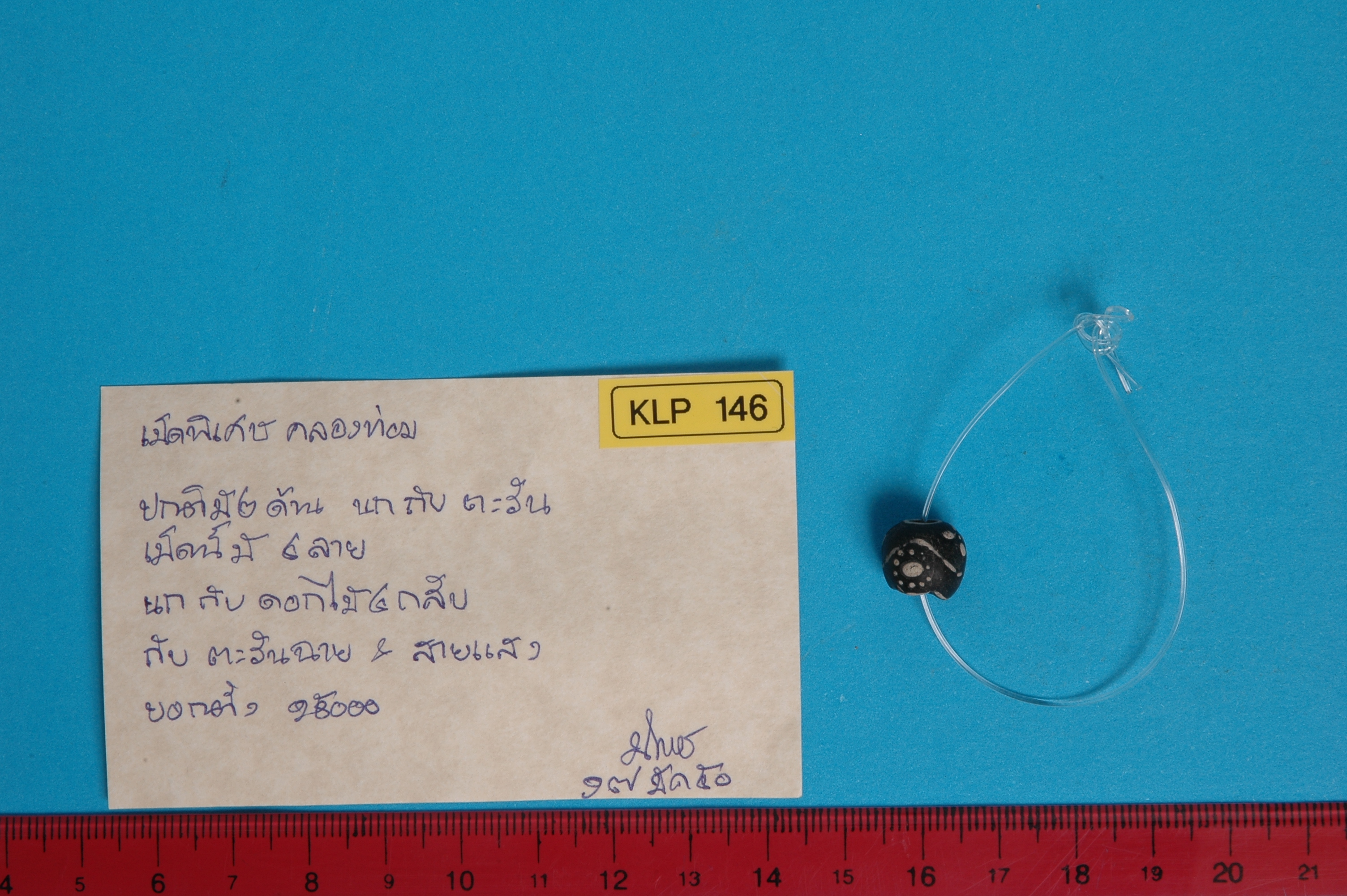 KLP 146.jpg